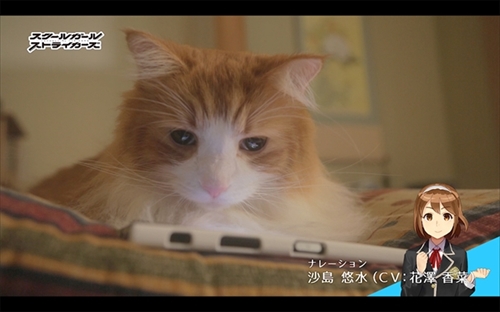 きょうの隊長さん