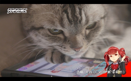 きょうの隊長さん