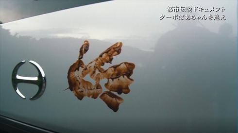ターボばばぁ。 恐怖の都市伝説「ターボばあちゃん」が実在した？ 兵庫県で撮影