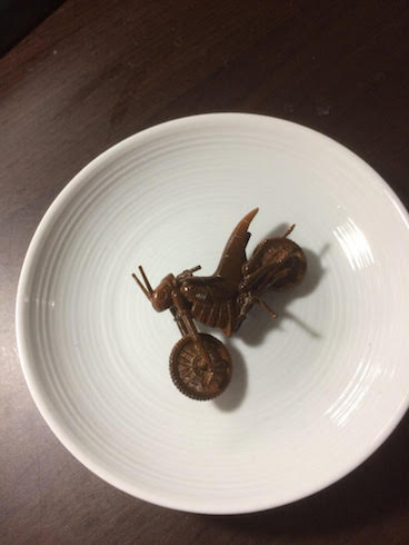 バトルホッパー 佃煮 プラモデル