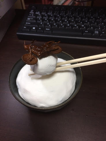 バトルホッパー 佃煮 プラモデル