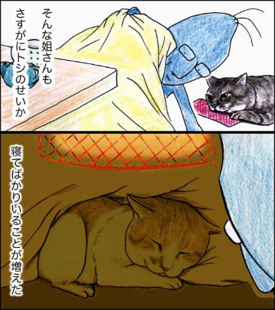 猫 おじいちゃん 姐さん きせき 漫画