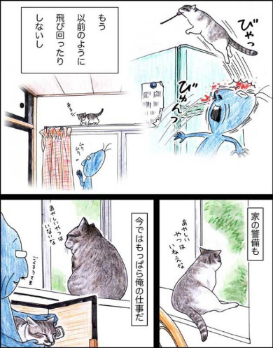 猫 おじいちゃん 姐さん きせき 漫画