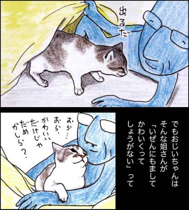 猫 おじいちゃん 姐さん きせき 漫画
