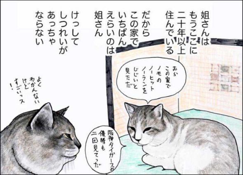猫 おじいちゃん 姐さん きせき 漫画
