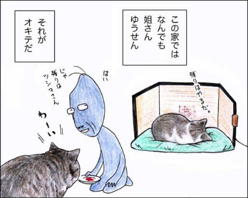 猫 おじいちゃん 姐さん きせき 漫画