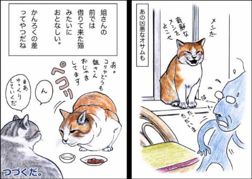猫 おじいちゃん 姐さん きせき 漫画