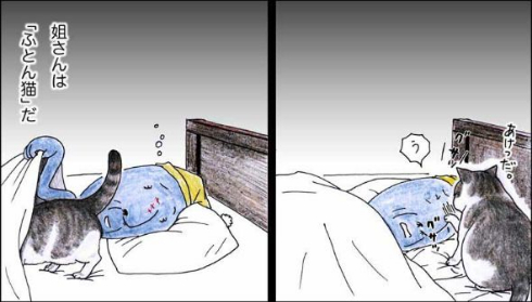 猫 おじいちゃん 姐さん きせき 漫画