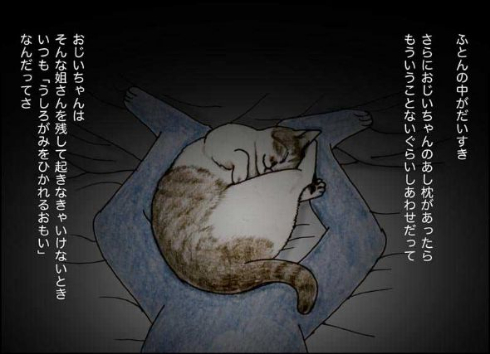 猫 おじいちゃん 姐さん きせき 漫画