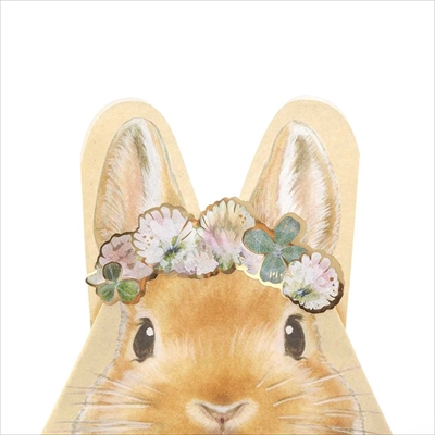 うさぎのおすそわけ袋