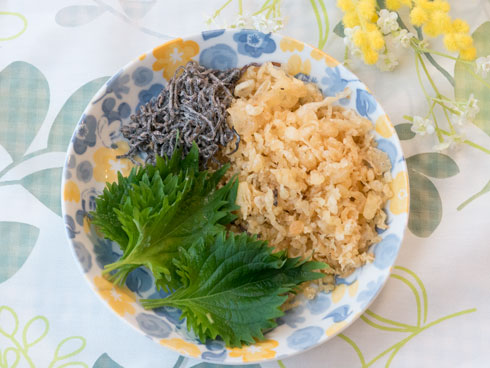 悪魔の材料写真