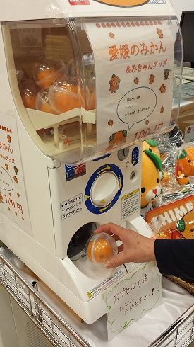 みかんガチャ