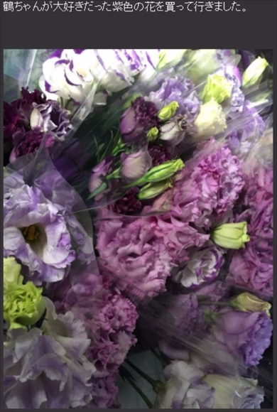 戸田恵子 鶴ひろみ アンパンマン ドキンちゃん