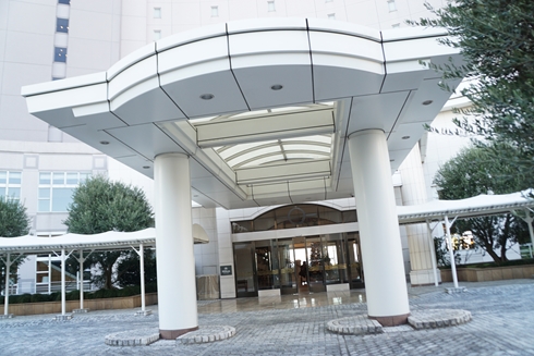 ヒルトン お台場 デザート ビュッフェ ブッフェ スイーツ いちご ホテル ホテルバイキング 食べ放題