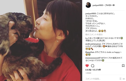 石田ゆり子　猫