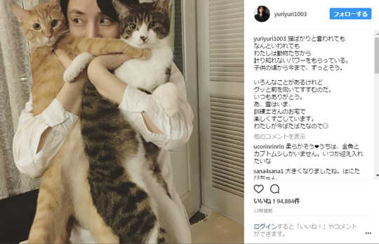 石田ゆり子　猫