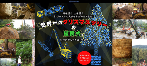 めざせ！世界一のクリスマスツリープロジェクト