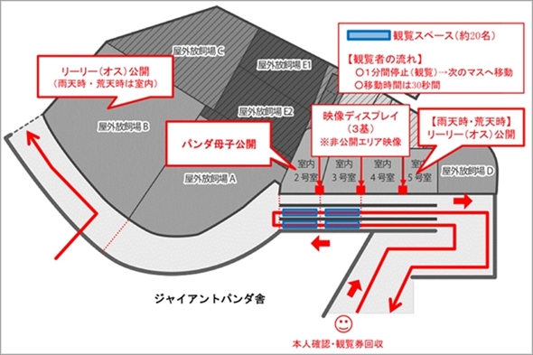 上野動物園ジャイアントパンダ