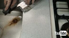 錆びた 包丁 18時間 研いだ結果 切れ味 YouTube