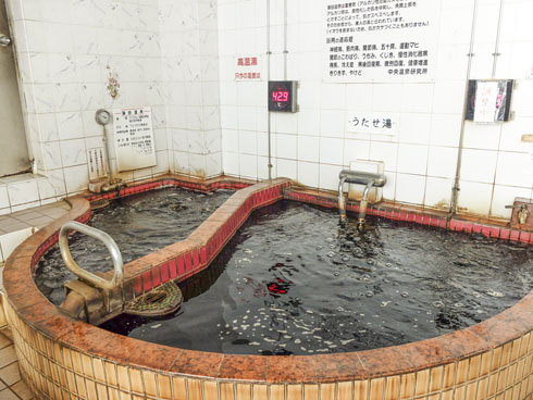 蒲田温泉 蒲田 銭湯