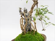 仏像盆栽〜十二神将シリーズ〜
