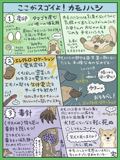 図解 なんかへんな生きもの