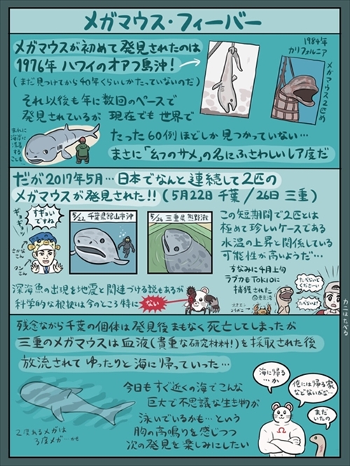 図解 なんかへんな生きもの