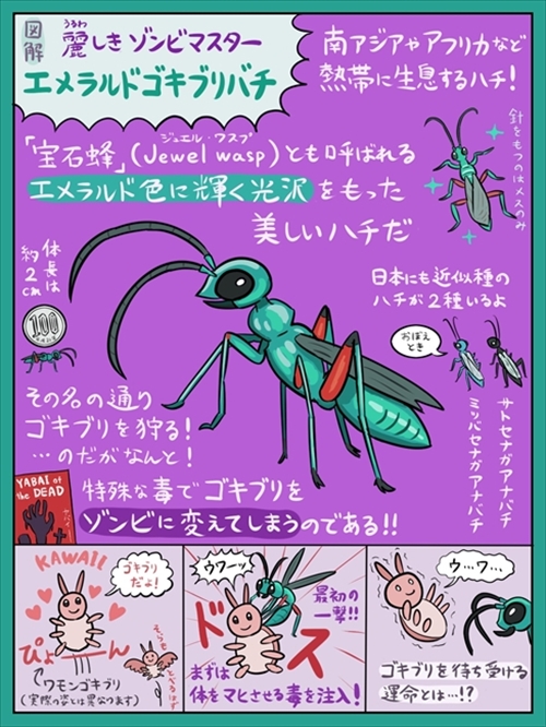 図解 なんかへんな生きもの