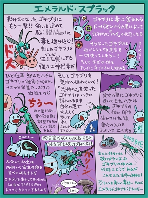 図解 なんかへんな生きもの