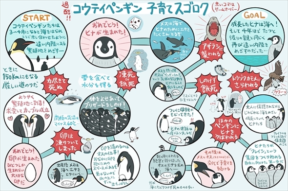 図解 なんかへんな生きもの