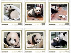 上野動物園 シャンシャン フレーム切手 ミニクリアファイル付き