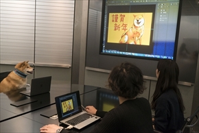 アドビ特命宣伝部長柴犬まる