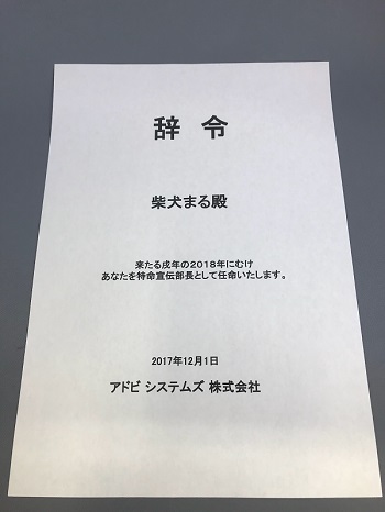 アドビ特命宣伝部長柴犬まる