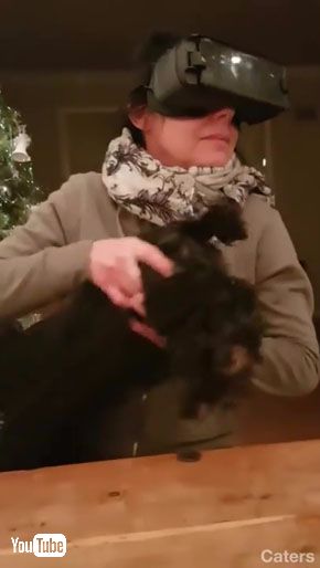 犬のお尻