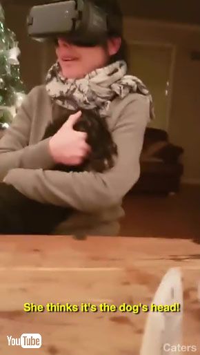 犬のお尻