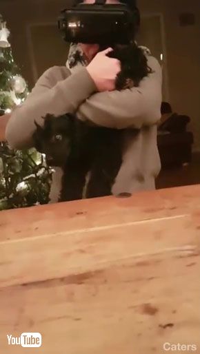 犬のお尻