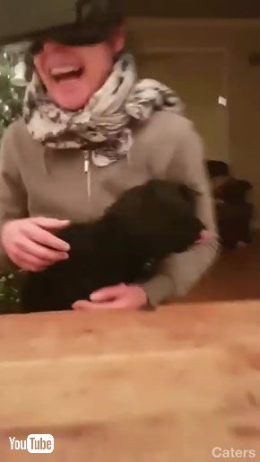 犬のお尻
