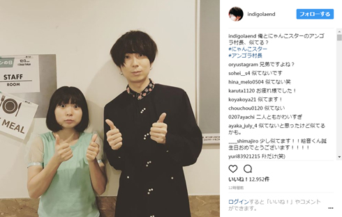 川谷絵音 にゃんこスター アンゴラ村長
