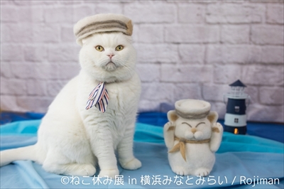 ねこ休み展横浜