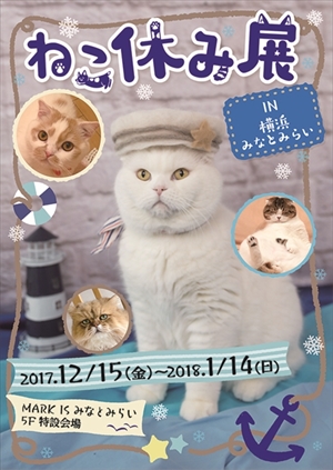 ねこ休み展横浜