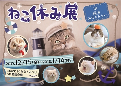 ねこ休み展横浜