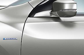 ホワイトオーキッド・パール