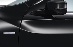 クリスタルブラック・パール