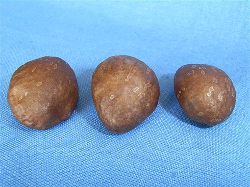 農水省「ビワの種子食べないで」　Web上で出回っているレシピに対しても注意を呼びかけ