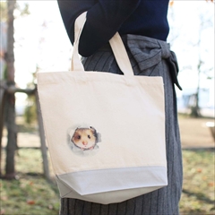 妄想マッピングシリーズ