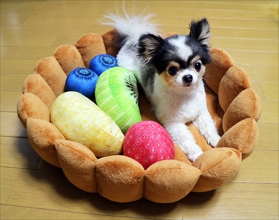 スイーツにゃんこクッション