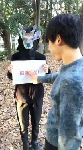 実写版 どうぶつの森 ポケットキャンプ 再現