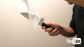 100均 包丁 研いでみた 切れ味 研石 3万円