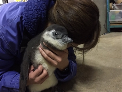 東北サファリパーク　サプライズ企画