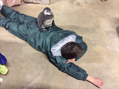 東北サファリパーク　サプライズ企画